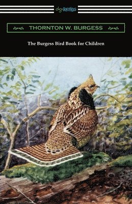 bokomslag The Burgess Bird Book for Children