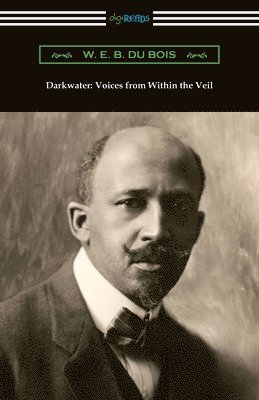 bokomslag Darkwater: Voices from Within the Veil