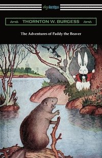 bokomslag The Adventures of Paddy the Beaver