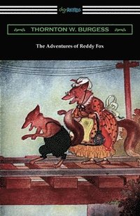 bokomslag The Adventures of Reddy Fox