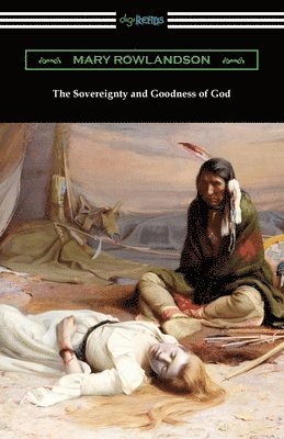 bokomslag The Sovereignty and Goodness of God