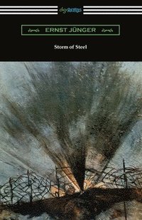 bokomslag Storm of Steel