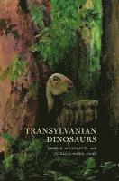 bokomslag Transylvanian Dinosaurs