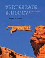 bokomslag Vertebrate Biology