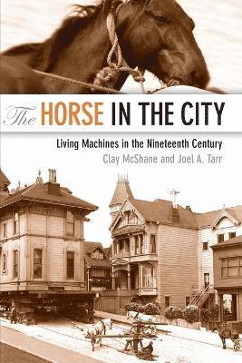 Horse in the City 1