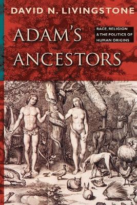 bokomslag Adam's Ancestors