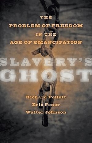 Walter Johnson, Eric Foner, Richard Follett - Slavery's Ghost, Häftad