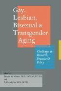 bokomslag Gay, Lesbian, Bisexual, and Transgender Aging