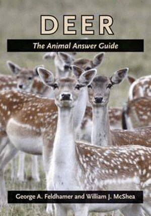 George A. Feldhamer, William J. McShea - Deer, Häftad