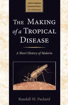 Making of a Tropical Disease