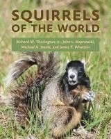 Squirrels of the World 1