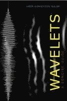 bokomslag Wavelets