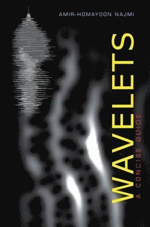 Wavelets