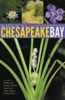 bokomslag Plants of the Chesapeake Bay
