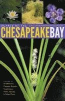 Lytton John Musselman, David A. Knepper - Plants of the Chesapeake Bay, Häftad