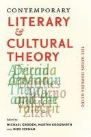 bokomslag Contemporary Literary and Cultural Theory