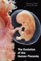 bokomslag The Evolution of the Human Placenta