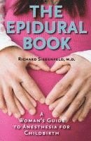 bokomslag The Epidural Book