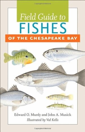 Edward O. Murdy, John A. Musick - Field Guide to Fishes of the Chesapeake Bay, Häftad