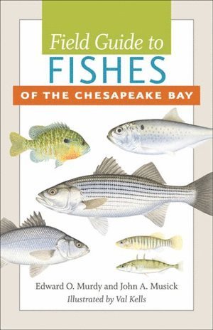 Field Guide to Fishes of the Chesapeake Bay 1