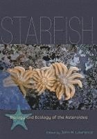 Starfish 1