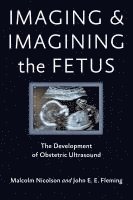 Imaging and Imagining the Fetus 1