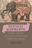 bokomslag Entertaining Elephants
