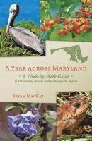 A Year across Maryland 1