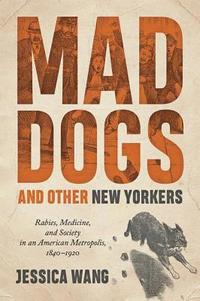 bokomslag Mad Dogs and Other New Yorkers