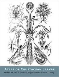 bokomslag Atlas of Crustacean Larvae