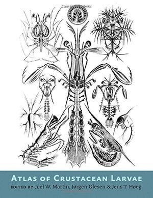 Joel W. Martin, Jørgen Olesen, Jens T. Høeg - Atlas of Crustacean Larvae, Inbunden