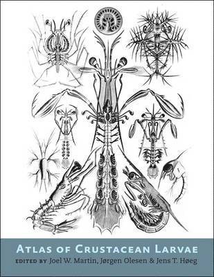 Atlas of Crustacean Larvae 1