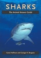 Gene Helfman, George H. Burgess - Sharks, Inbunden