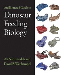bokomslag An Illustrated Guide to Dinosaur Feeding Biology