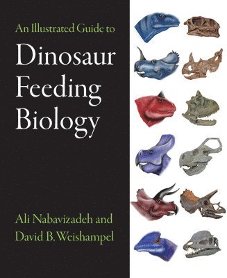 bokomslag An Illustrated Guide to Dinosaur Feeding Biology