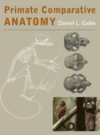 bokomslag Primate Comparative Anatomy