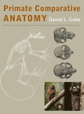 Primate Comparative Anatomy 1