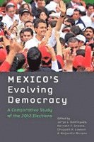 bokomslag Mexico's Evolving Democracy