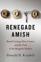 bokomslag Renegade Amish