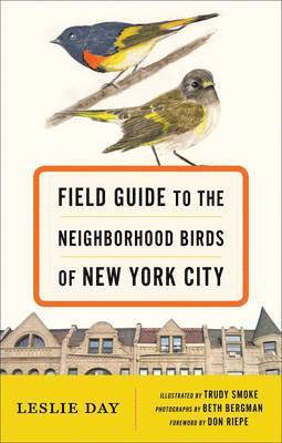 bokomslag Field Guide to the Neighborhood Birds of New York City