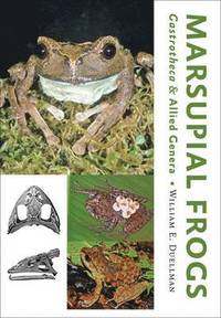 bokomslag Marsupial Frogs