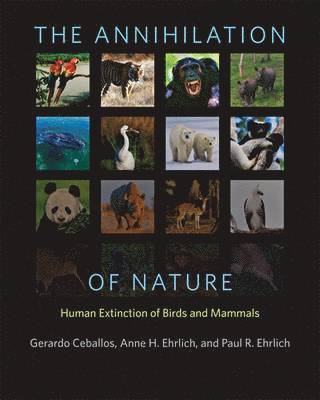 UNAM) Ceballos, Gerardo (Instituto de Ecologia, UNAM, Anne H. (Stanford University) Ehrlich, Stanford University) Ehrlich, Paul R. (Bing Professor of Populations Studies Emeritus, Gerardo Ceballos, Anne H. Ehrlich, Anne H Ehrlich, Paul R Ehrlich - The Annihilation of Nature, Inbunden