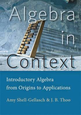 bokomslag Algebra in Context