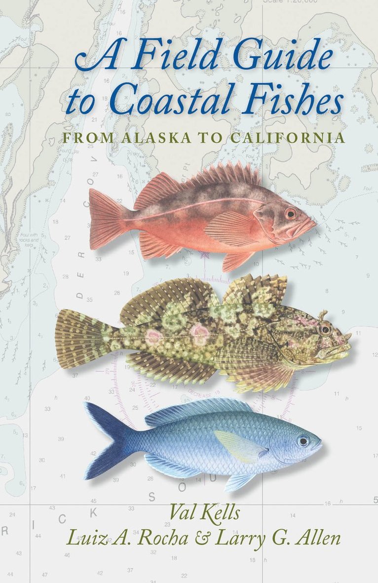Valerie A. Kells, Luiz A. Rocha, Larry G. Allen, California Academy of Sciences) Rocha, Luiz A. (Assistant Curator of Fishes, California State University Northridge) Allen, Larry G. (Professor of Biology, Valerie A Kells, Luiz A Rocha, Larry G Allen - Field Guide to Coastal Fishes, Häftad
