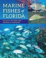 bokomslag Marine Fishes of Florida