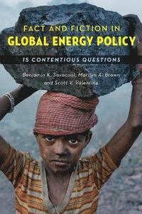 bokomslag Fact and Fiction in Global Energy Policy