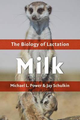 Michael L. Power, Jay Schulkin - Milk, Inbunden