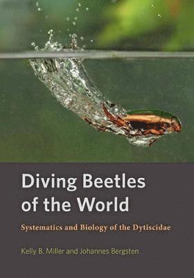 bokomslag Diving Beetles of the World