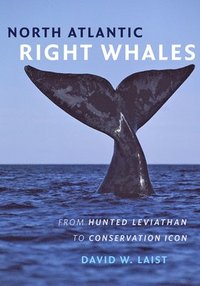 bokomslag North Atlantic Right Whales