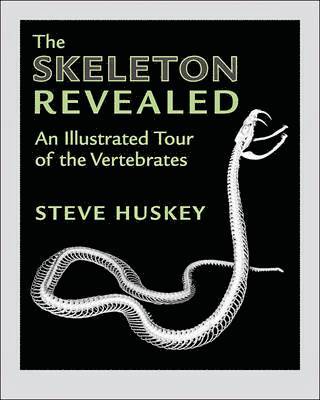 bokomslag Skeleton Revealed